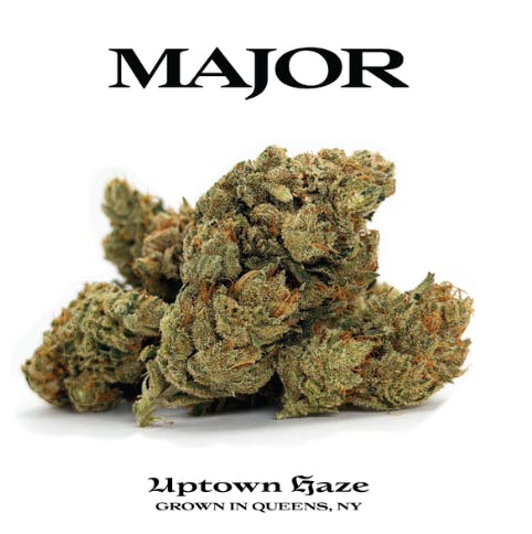 Major | Uptown Haze | Flower | Sativa | 3.5g