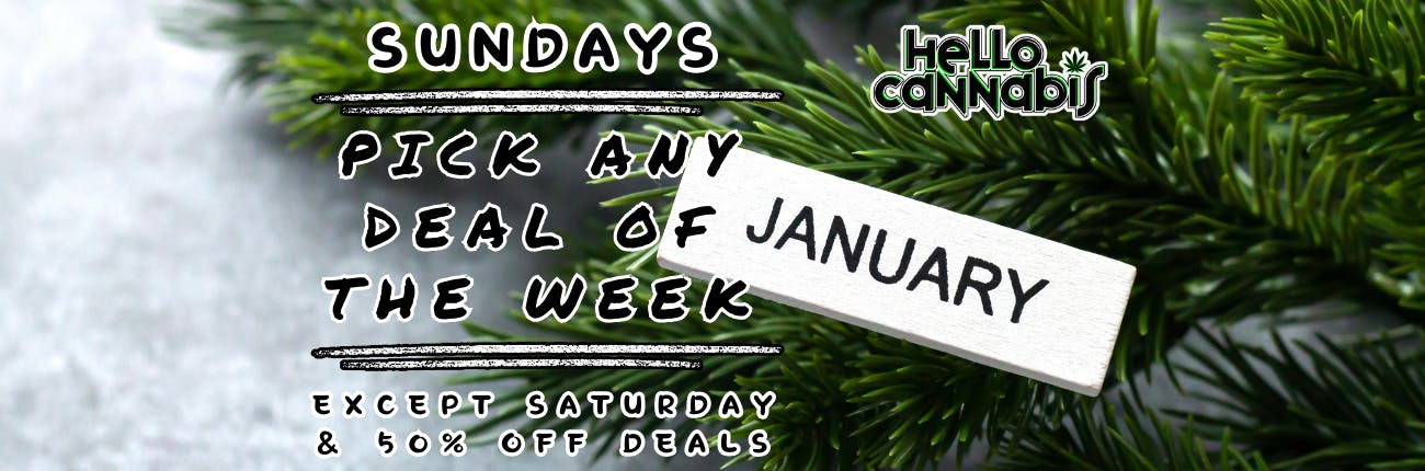 Sundays - Pick Any Deal of the Week