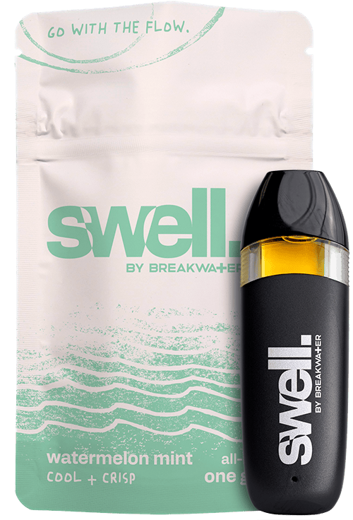 Swell Watermelon Mint Disposable - 1g