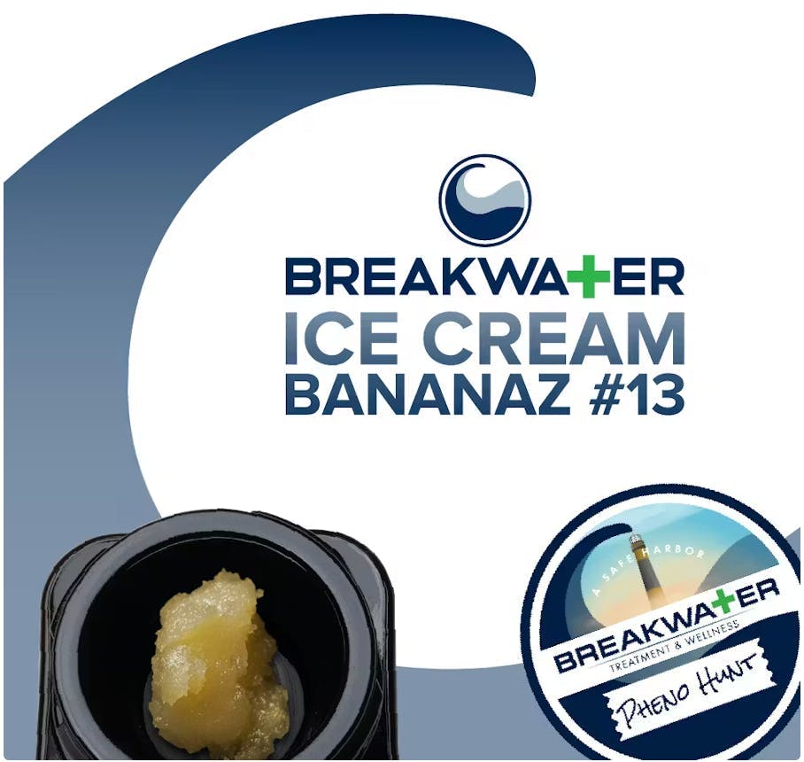 Breakwater Ice Cream Bananaz #13 Live Hash Rosin - 1g