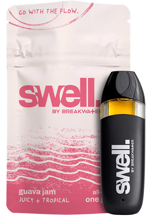 Swell Guava Jam Disposable - 1g