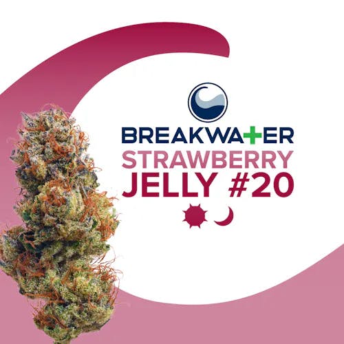 Breakwater - Strawberry Jelly #20 - Flower - 3.5g