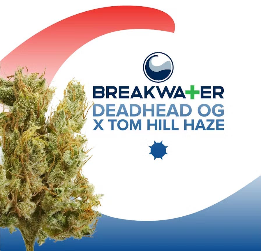 Breakwater - Deadhead OG x Tom Hill Haze - Flower - 3.5g