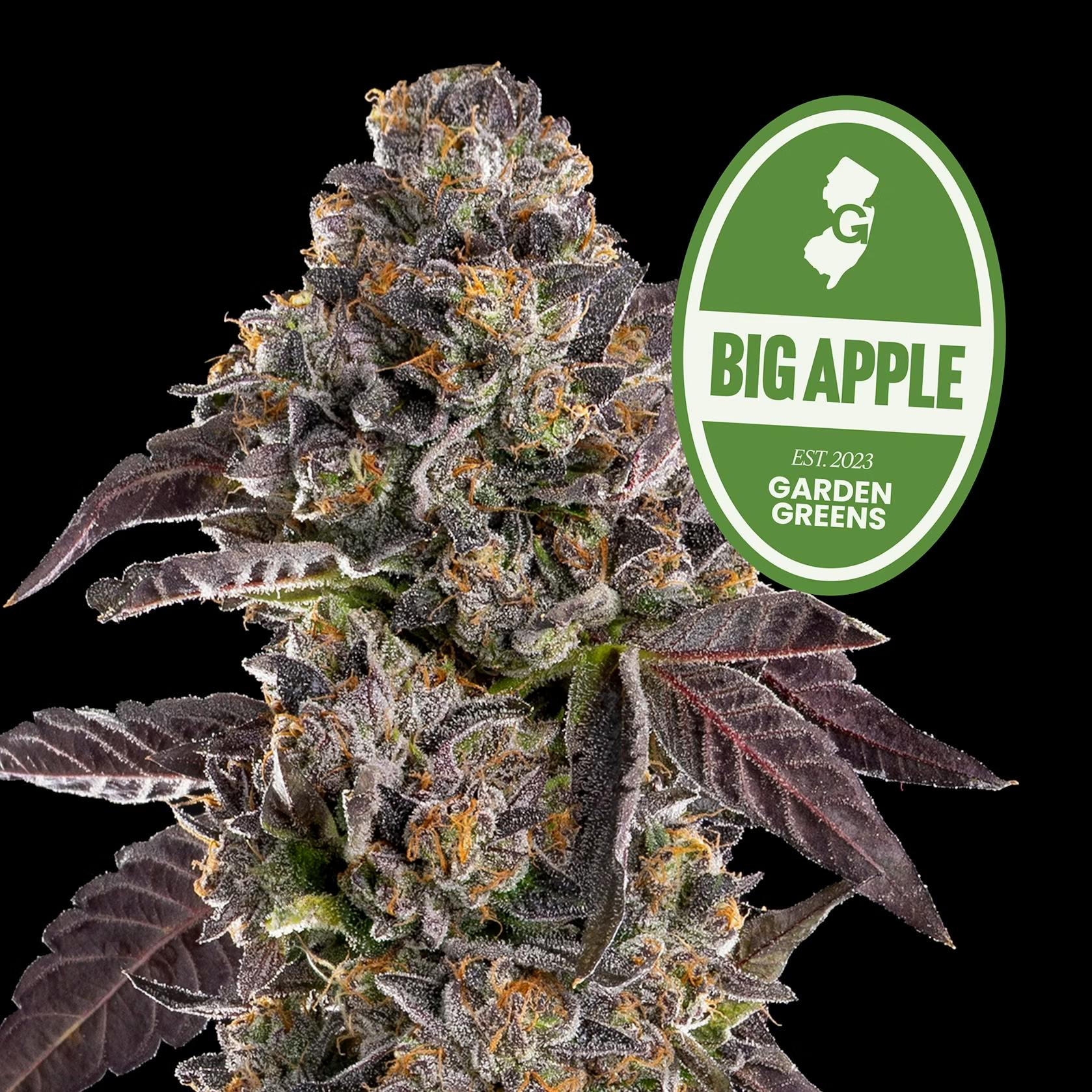 Garden Greens - Big Apple - Flower - 3.5g - 3.5g | Flower | Garden