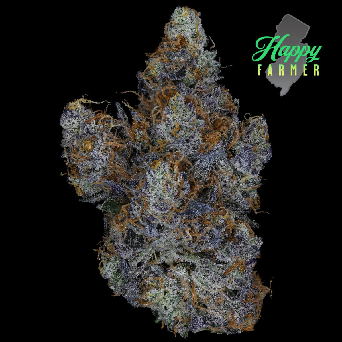 Happy Farmer - Candied Garlic - 3.5g