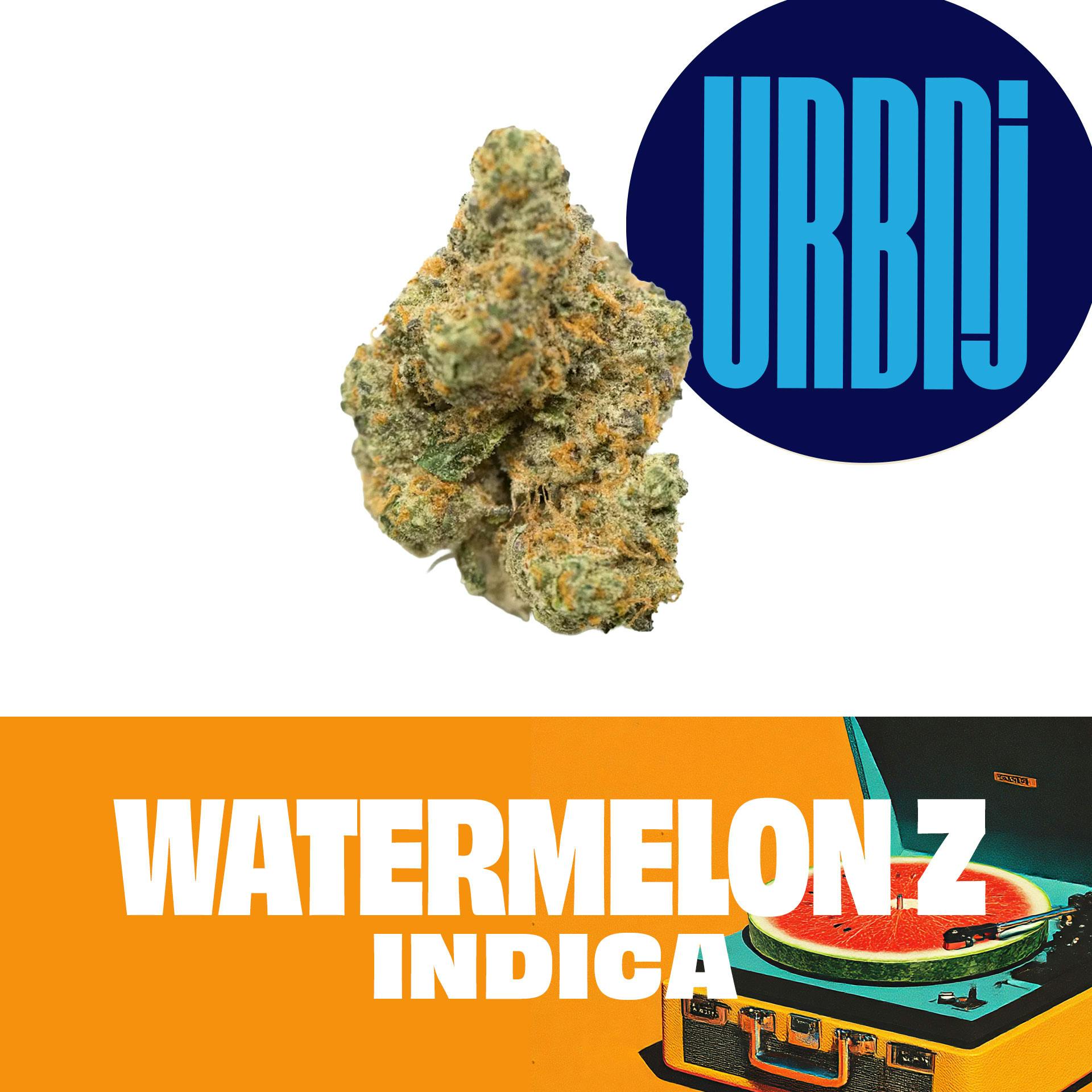 URBNJ Watermelon Z Flower 28G