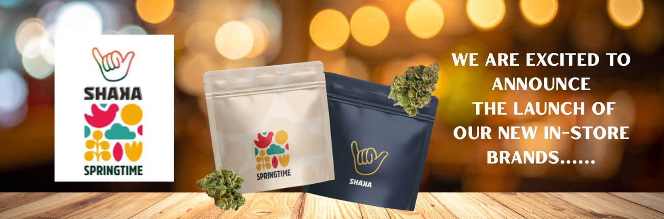 Shaka Springtime Launch