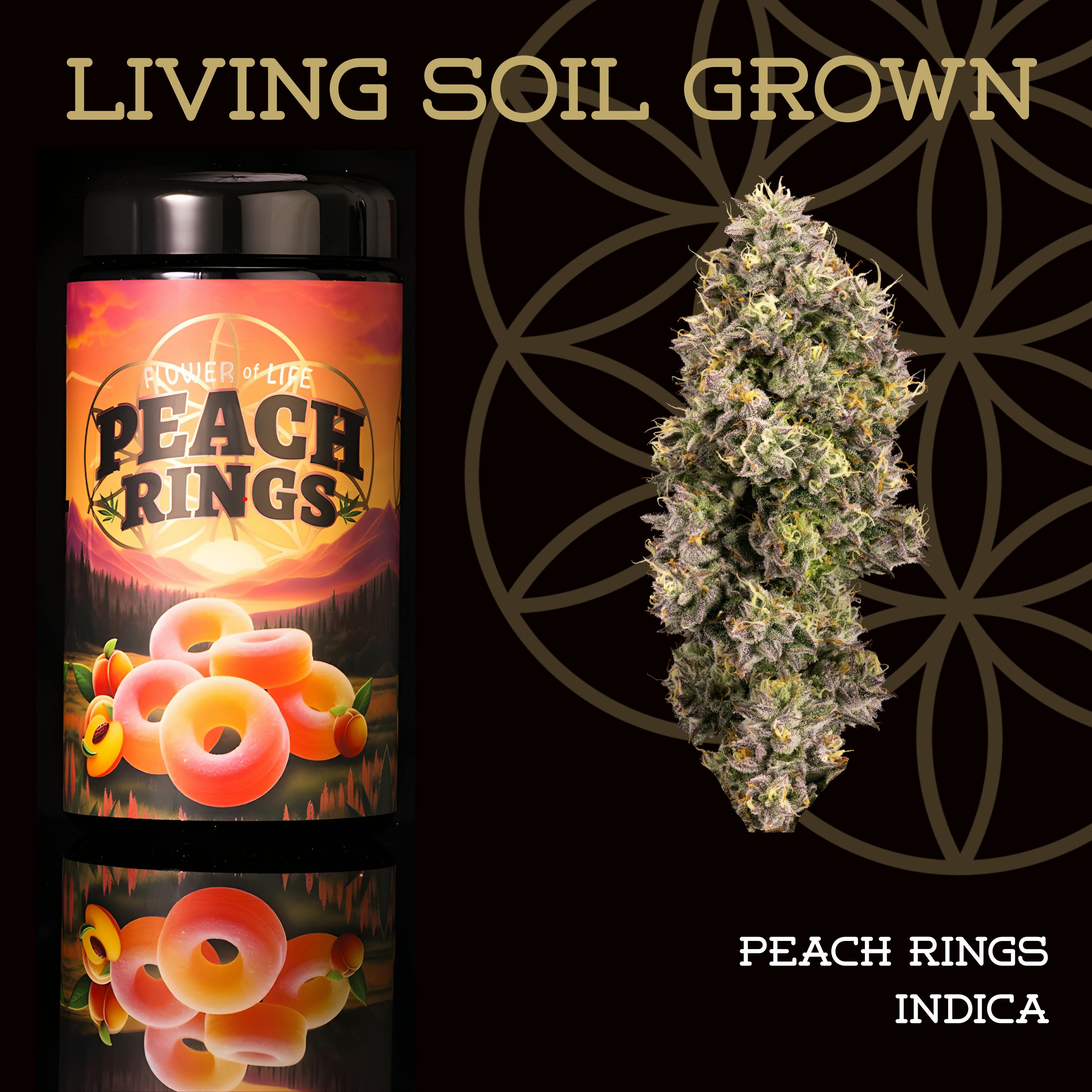 FLOWER OF LIFE – Peach Rings | Organic Flower - 7g for Sale in