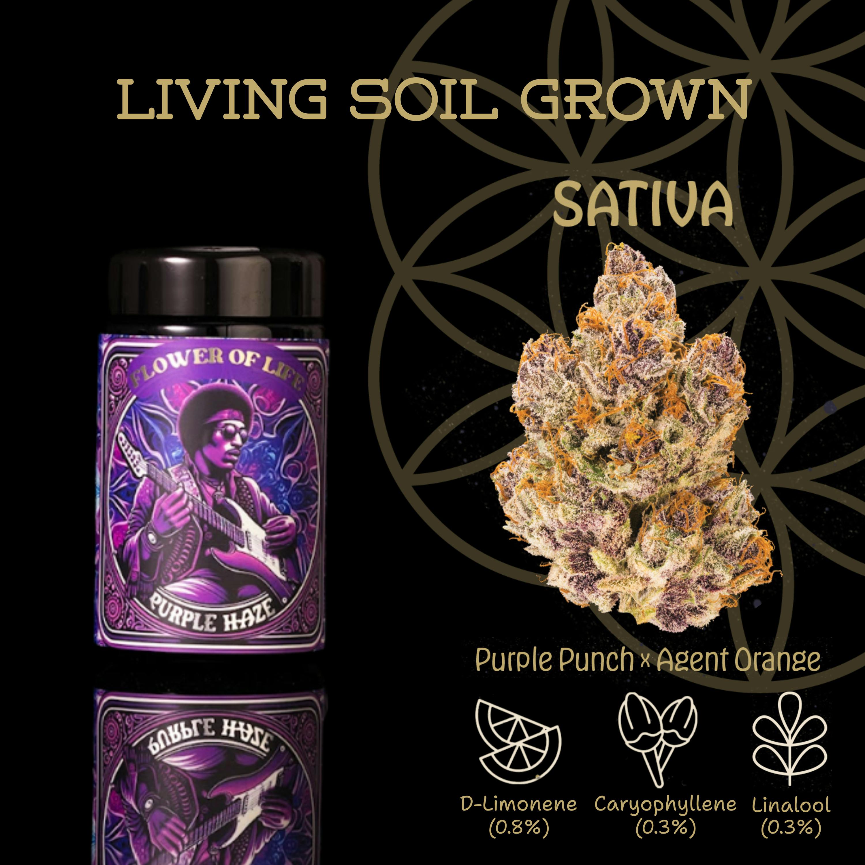 FLOWER OF LIFE – Purple Haze | Flower - 28g for Sale in Ironwood