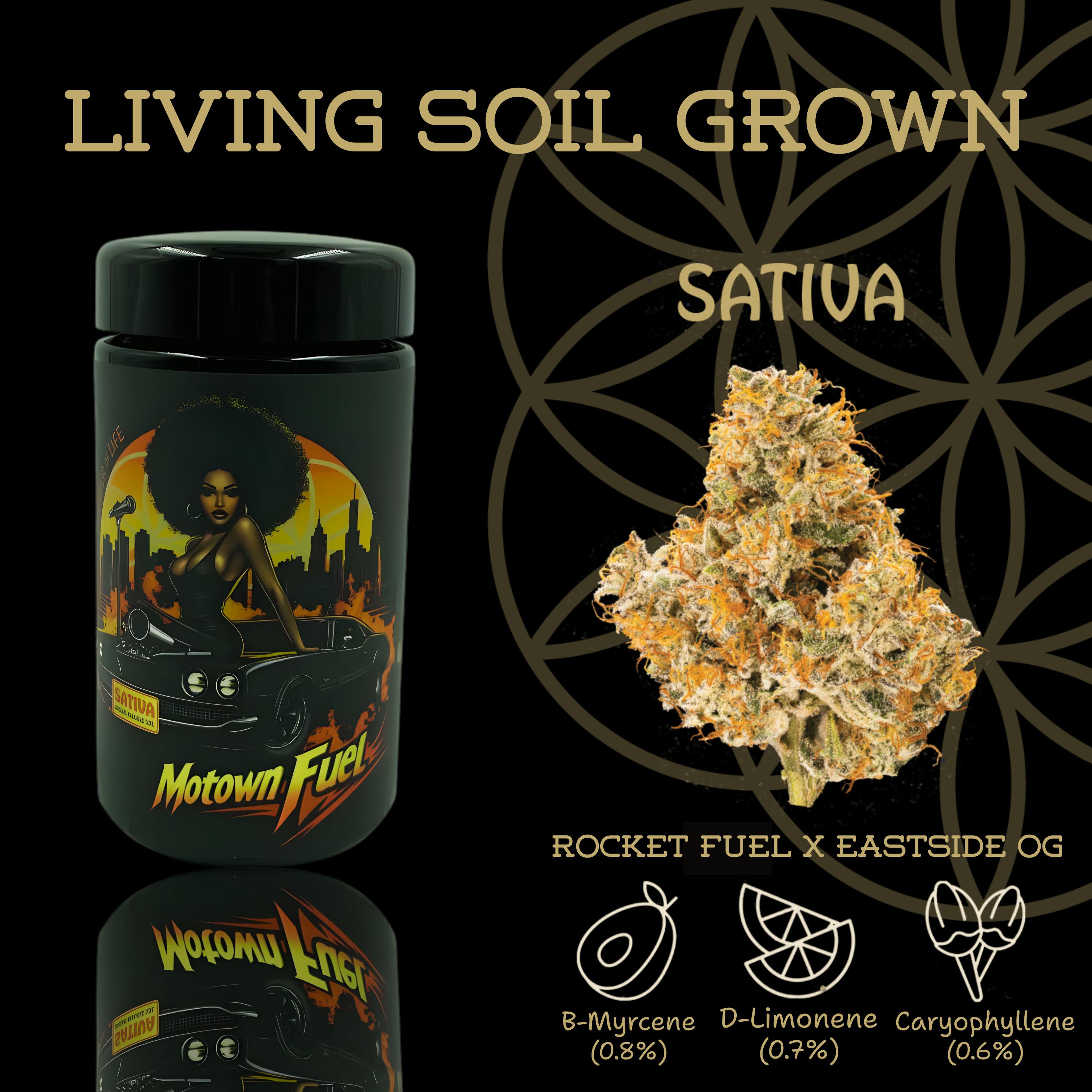 FLOWER OF LIFE – Motown Fuel | Organic Flower - 7g for Sale in