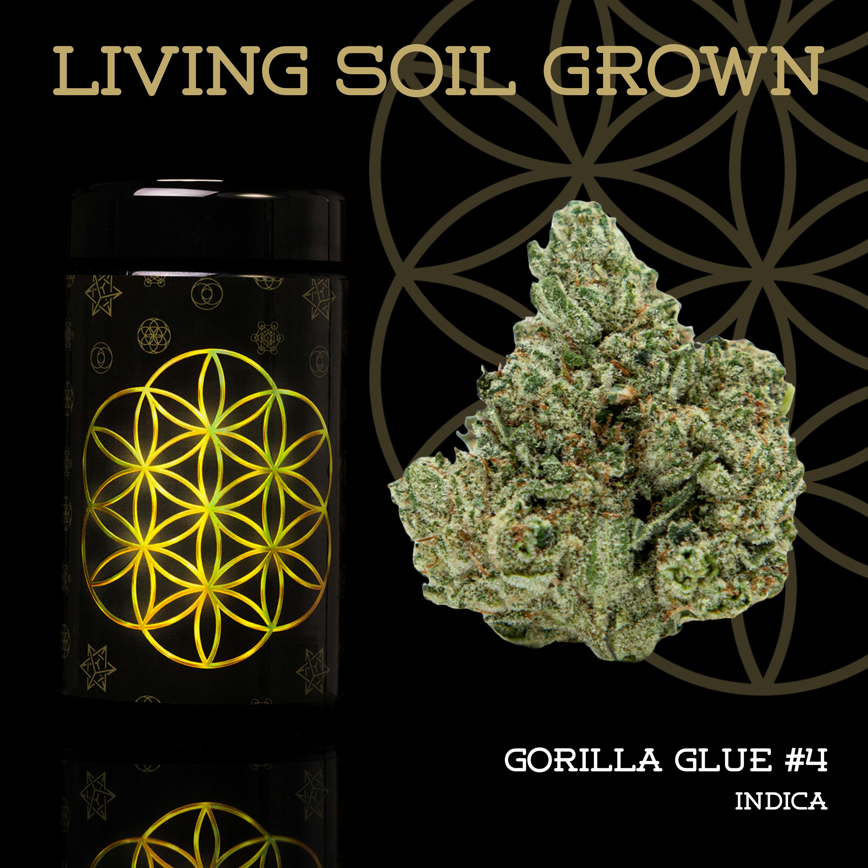 FLOWER OF LIFE – GG#4 | Organic Flower - 3.5g for Sale in Ironwood
