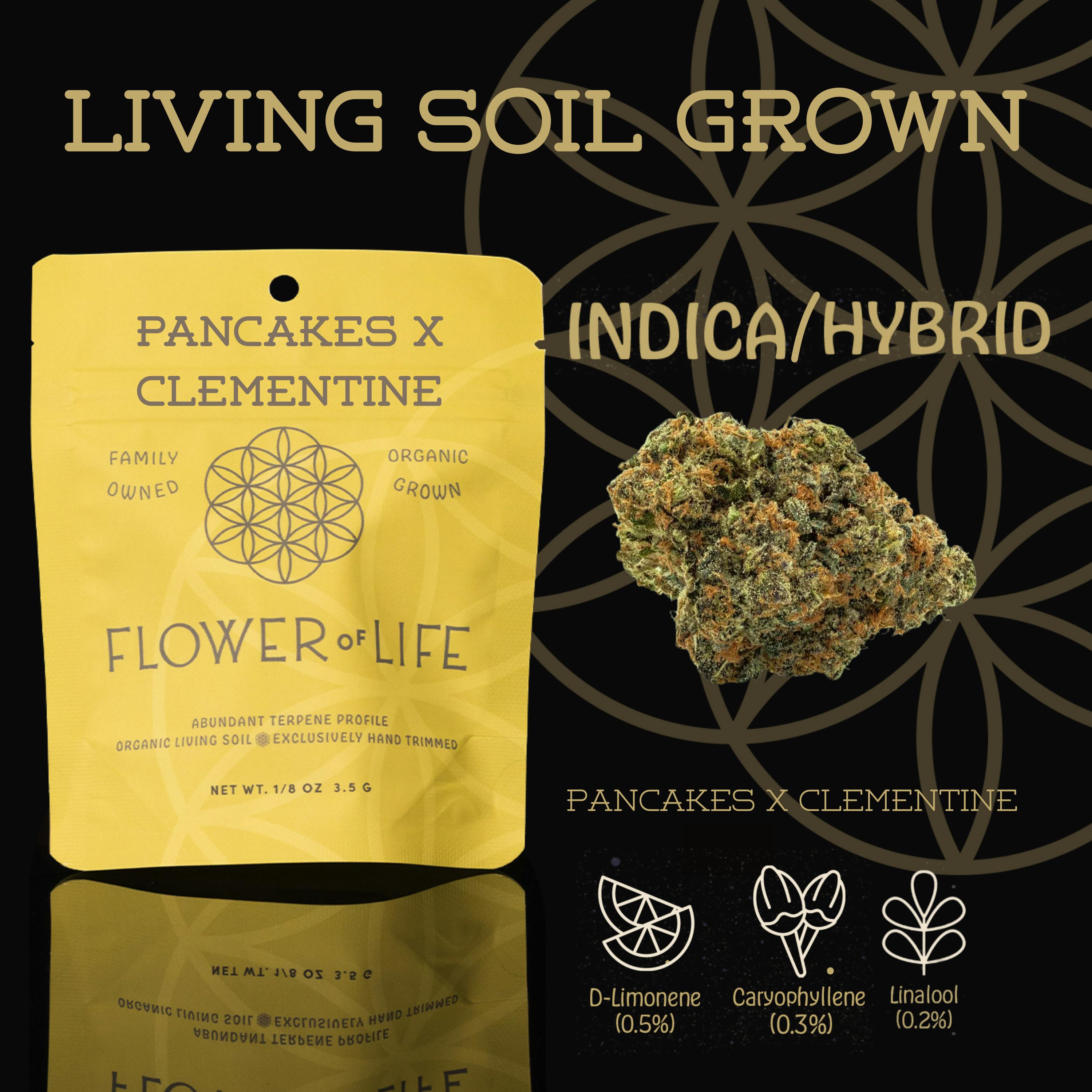 FLOWER OF LIFE – Pancakes X Clementine | Flower - 28g for Sale in