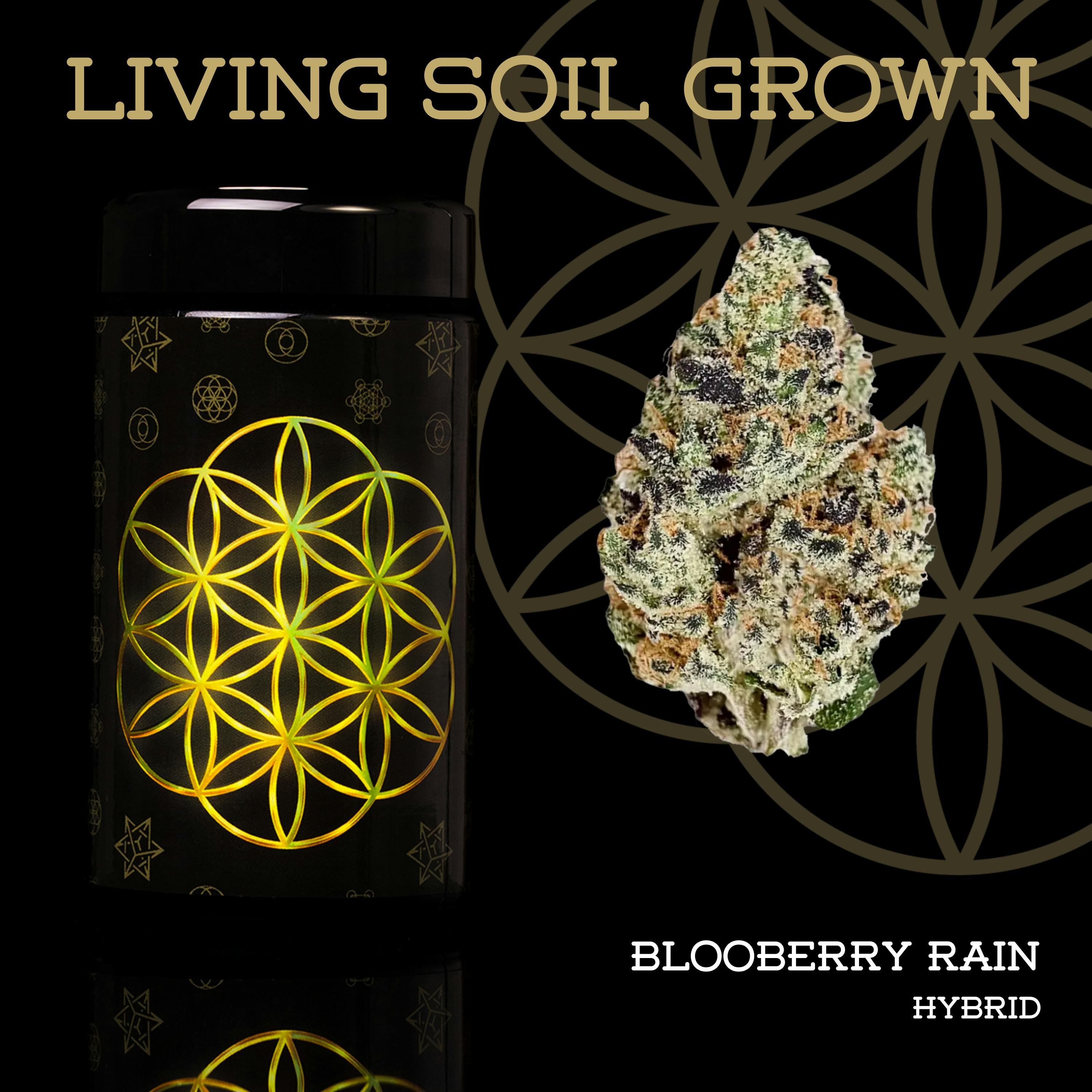 FLOWER OF LIFE – Booberry Rain | Flower - 28g for Sale in Ironwood