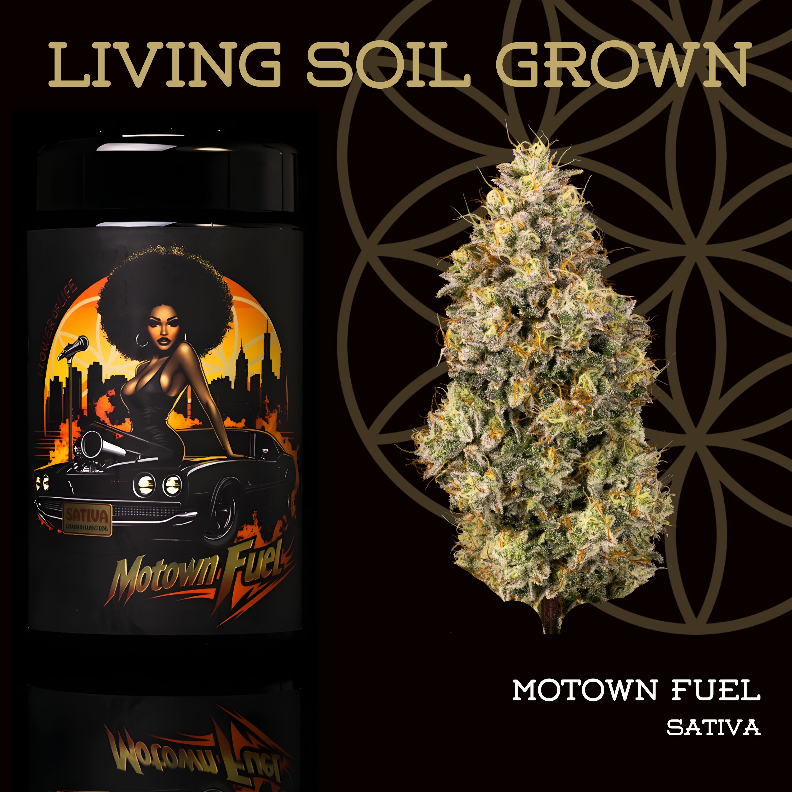 FLOWER OF LIFE – Motown Fuel | Flower - 28g for Sale in Ironwood