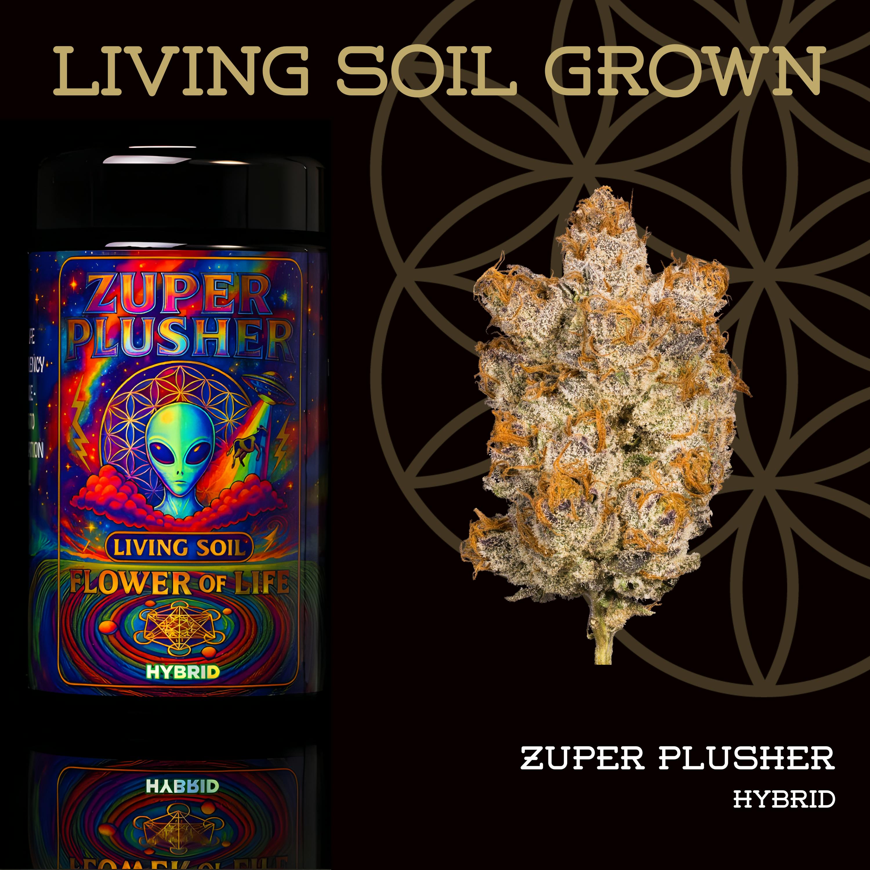 FLOWER OF LIFE – Zuper Plushers | Organic Flower - 7g for Sale in