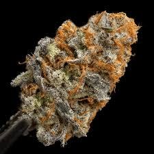 Chimera #3 3.5g - Kind Life - 1/8oz in Meridian