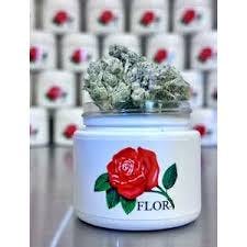 Flor | Sour OG | 1.3g Preroll