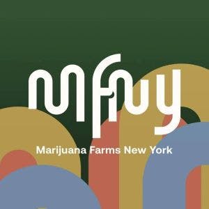 MFNY logo