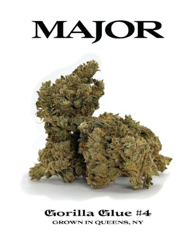 Major | GG4 | Flower | Indica | 3.5g