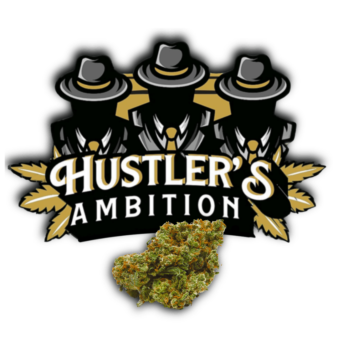 Hustler's Ambition - Sticky Fingers (3.5g) - 1/8oz in Laughlin