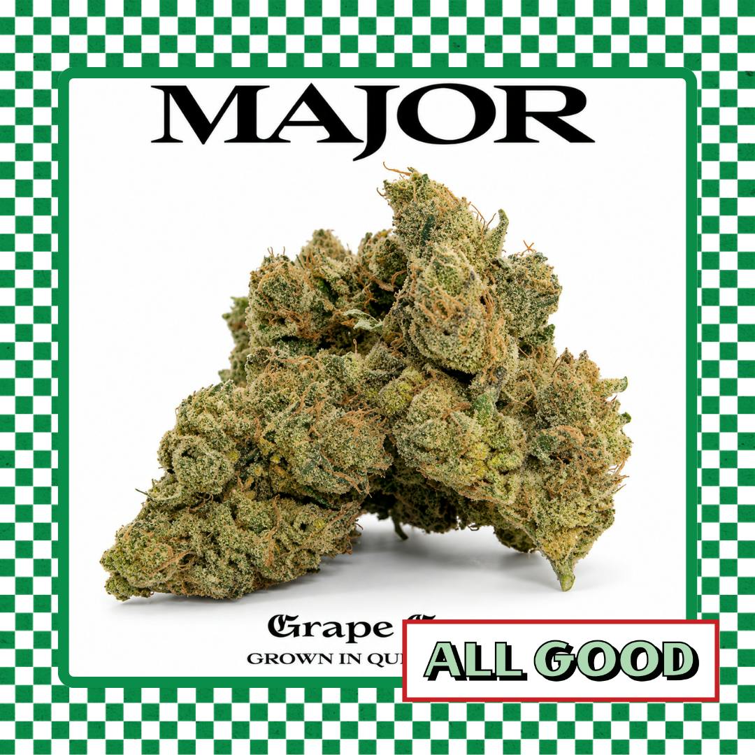 Major | Grape Gas | Flower | Hybrid | 3.5g