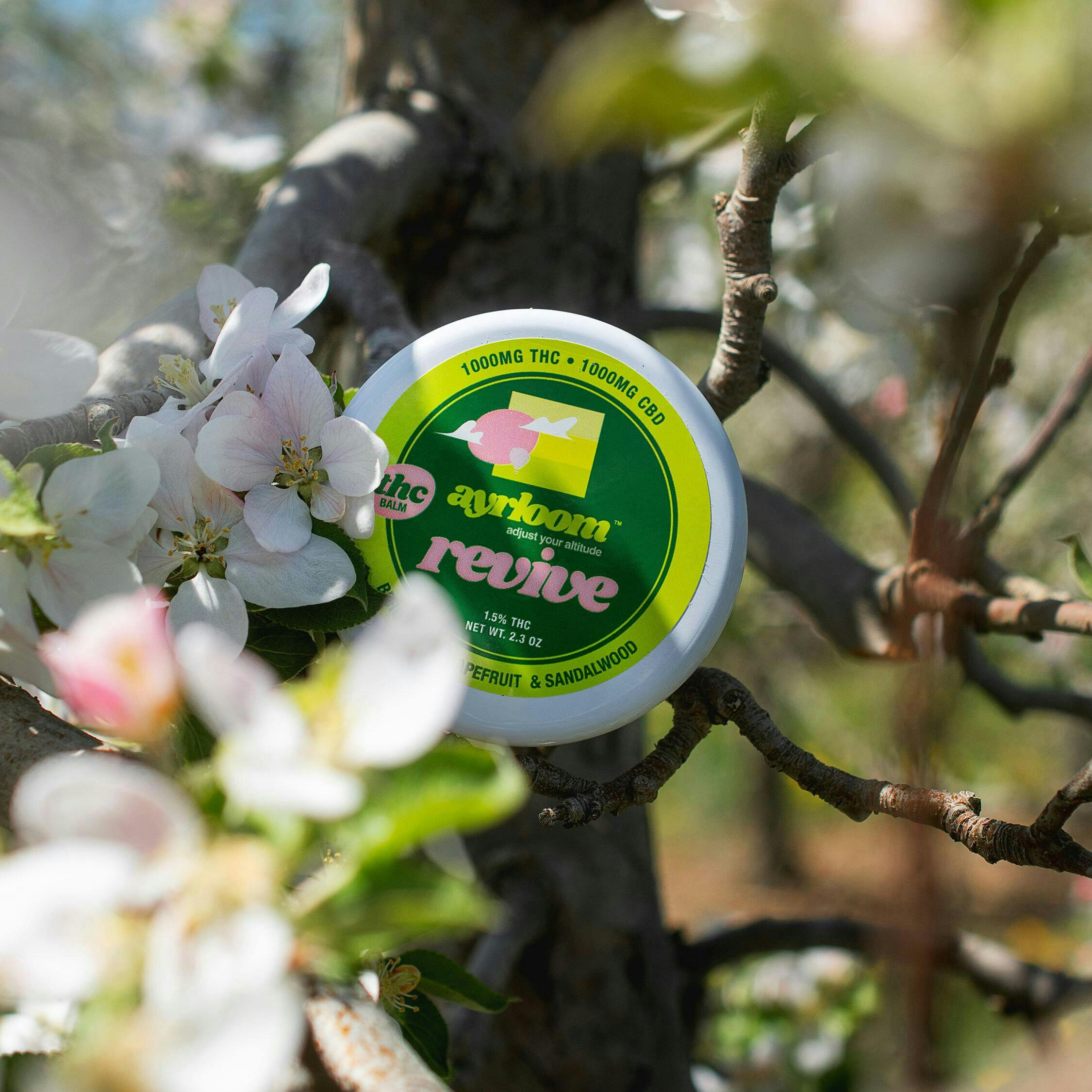 Ayrloom | 1 000mg 1:1 THC:CBD Revive Balm | 2.3oz
