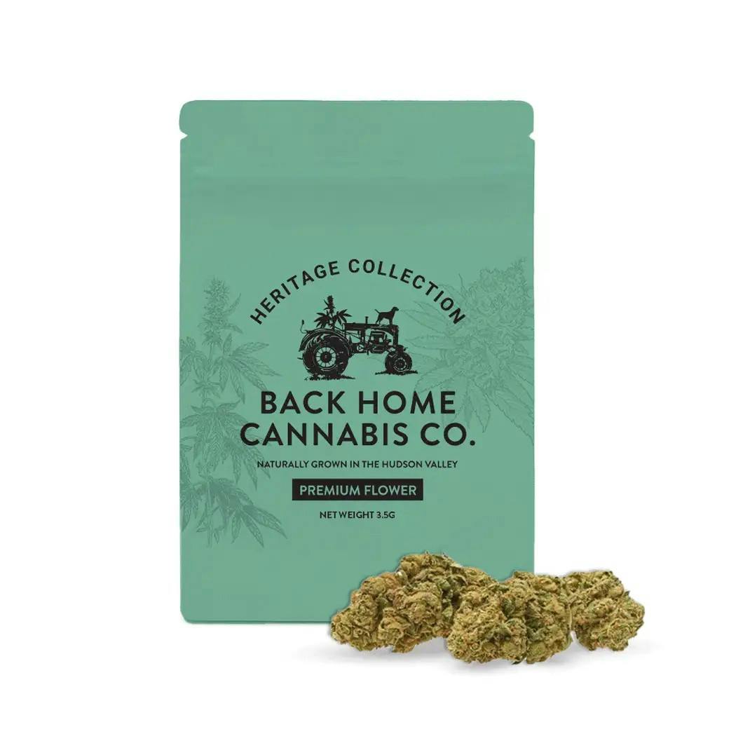 Back Home Cannabis | Jack Herer | Flower | Sativa | 3.5g