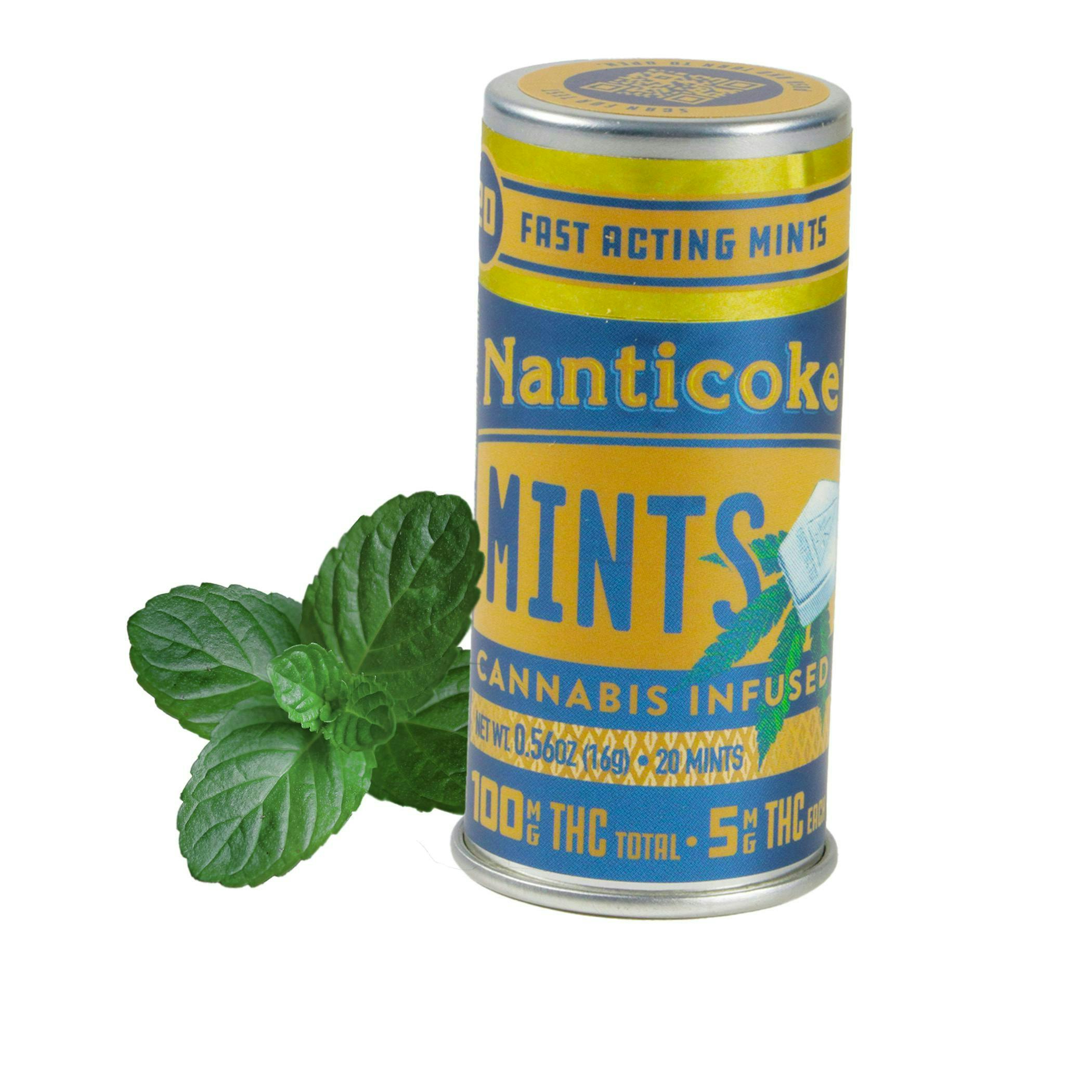 Nanticoke | Mints | 100mg