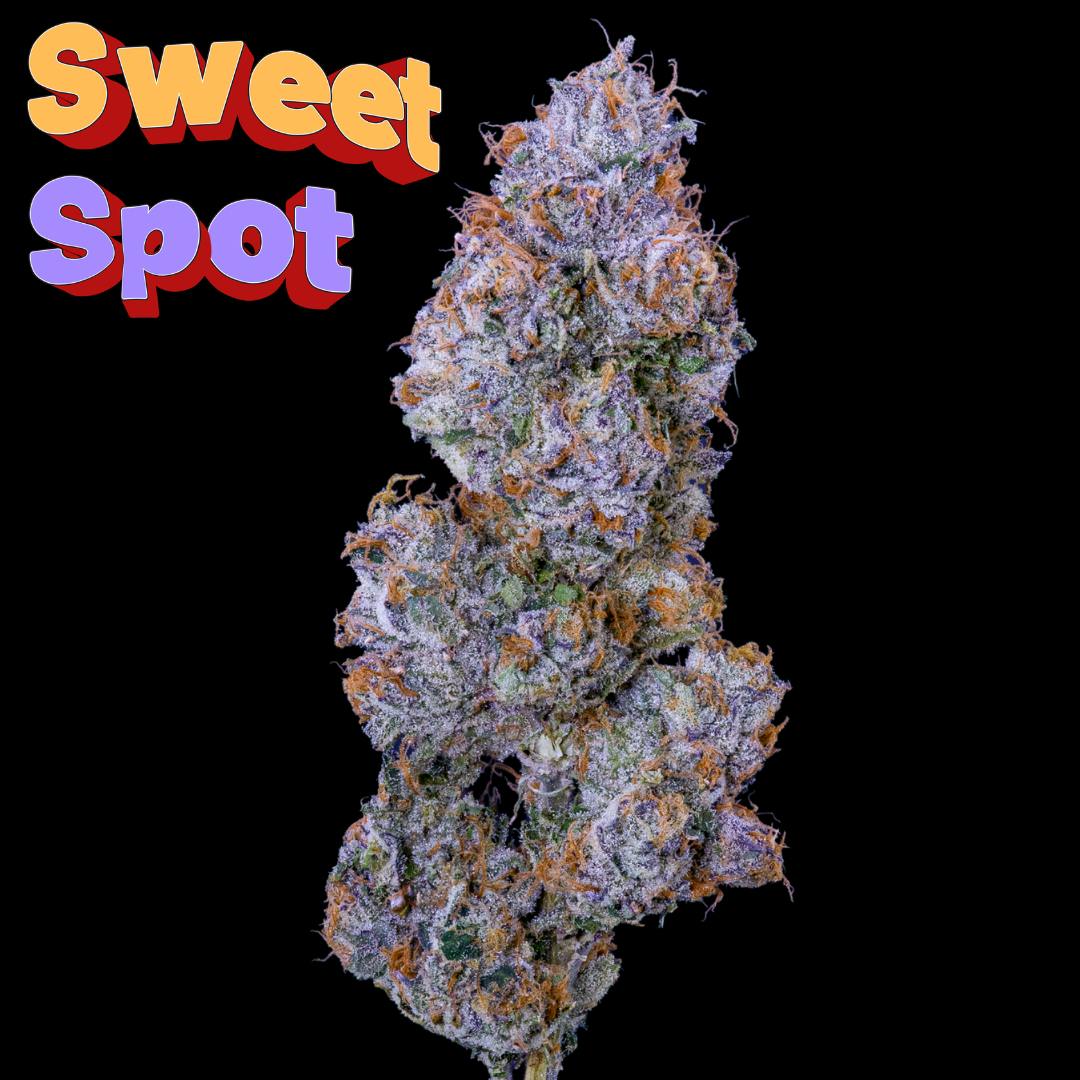 Sweet Spot