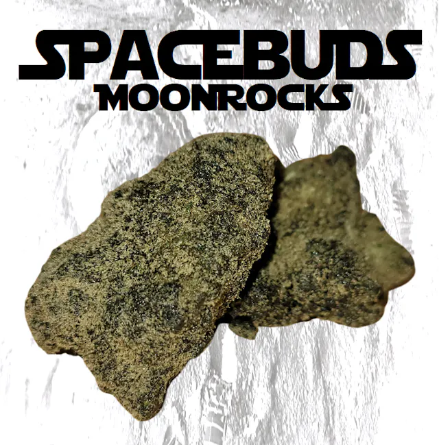Spacebuds Blueberry Muffin, 4 g · Infused
