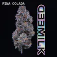 Pina Colada (Craft Indoor) | 3.5g | Micro Grower - 3.5g