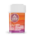New York Sunrise Sativa | Nano Quick | 100mg Gummies | 10pk - 100mg