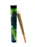 Northern Lights | 1g Infused Pre Roll - 1g