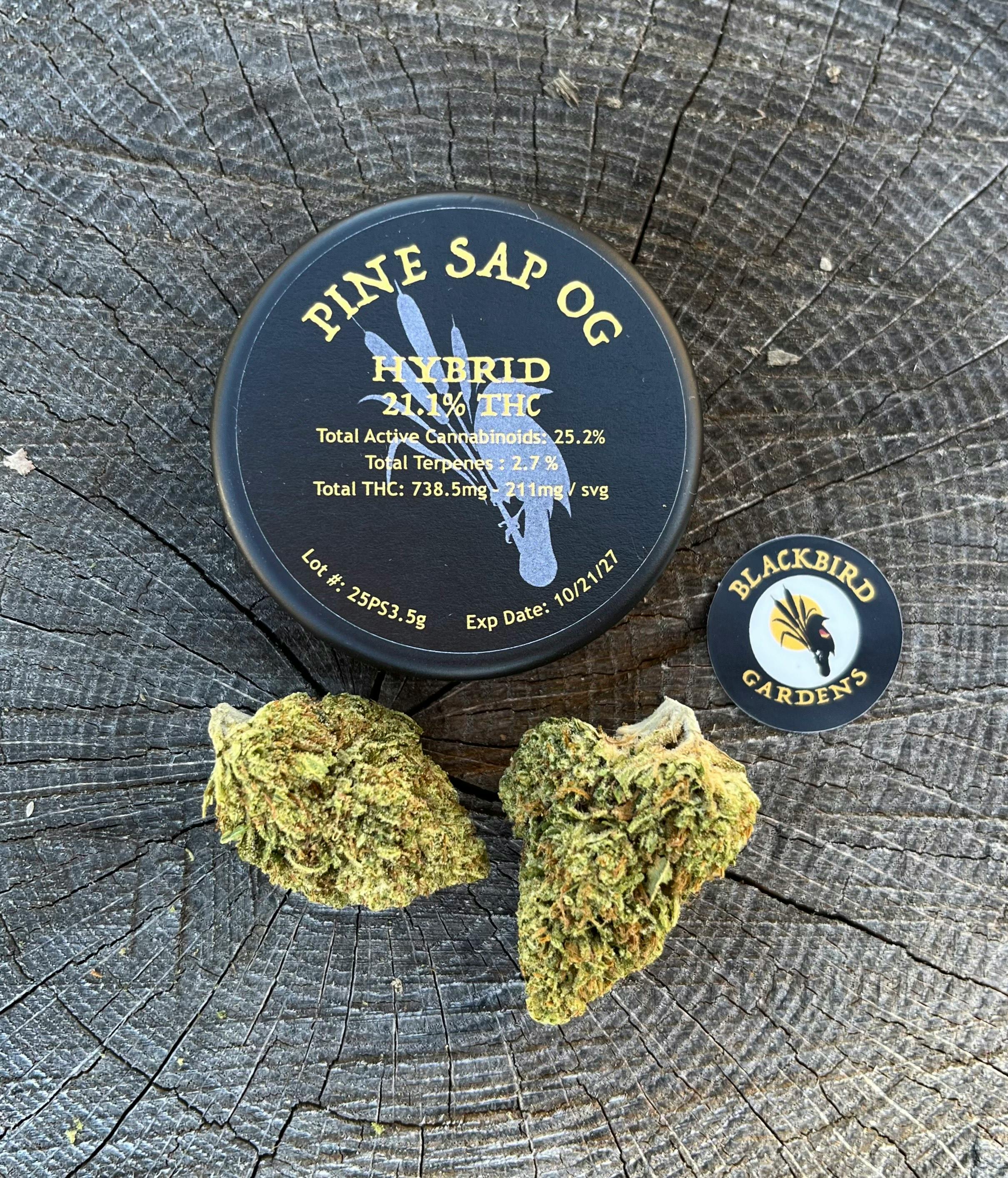 Blackbird Gardens | Pine Sap OG | Flower | Hybrid | 3.5g