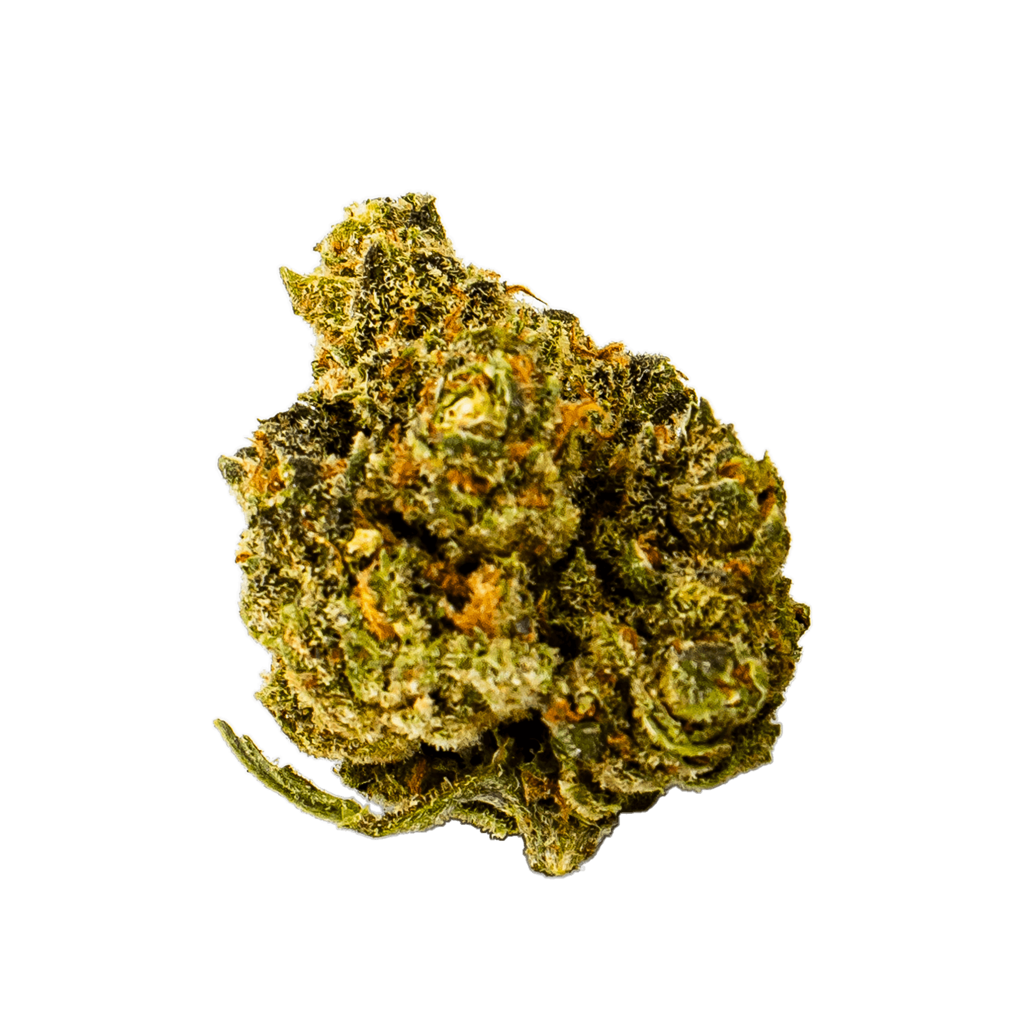 Dank | Flower | 3.5g | Bag | Banana Berry Kush