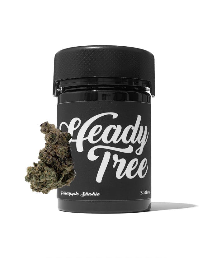 Heady Tree | Flower | 14g | Pineapple Slushee