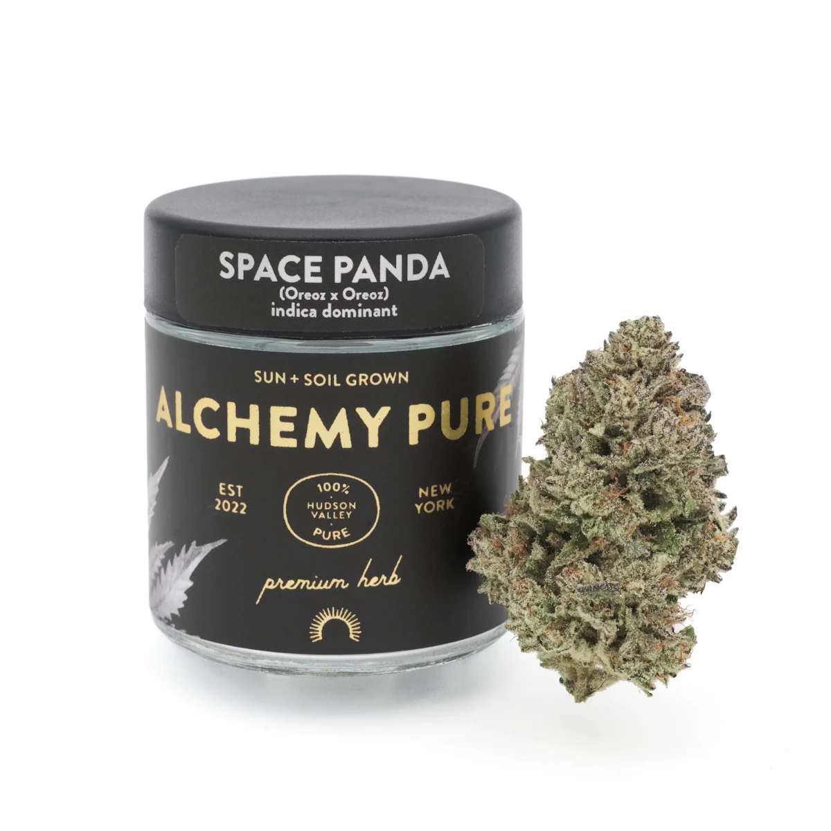 Alchemy Pure | Space Panda | 3.5g (greenhouse)