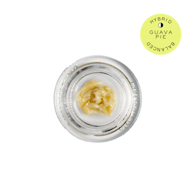 Hudson Cannabis | Cold Cure Rosin | 1g | Guava Pie