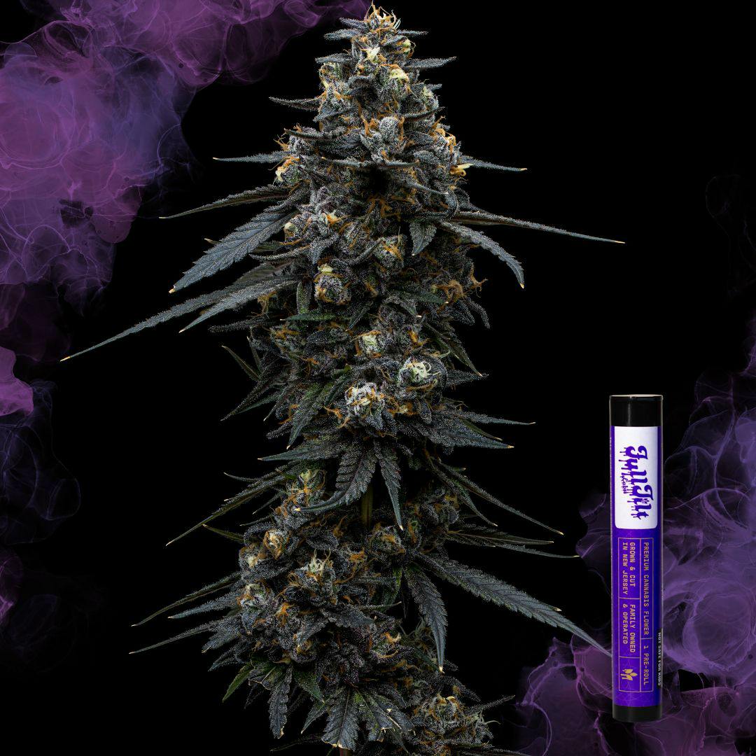 Frost Donkey | 1G Pre-Roll | 1pk