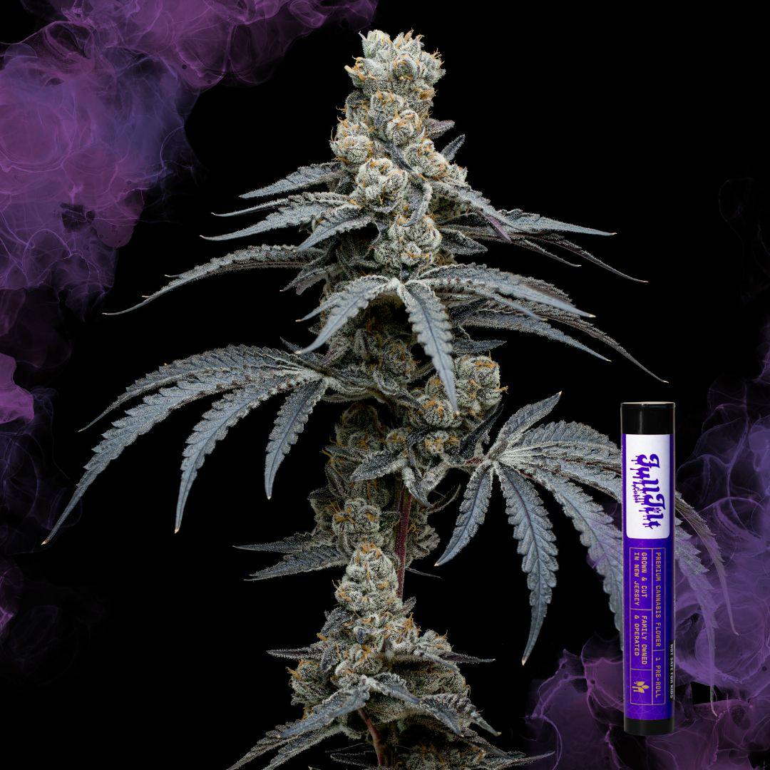 Blueberry Cherry | 1G Pre-Roll | 1pk