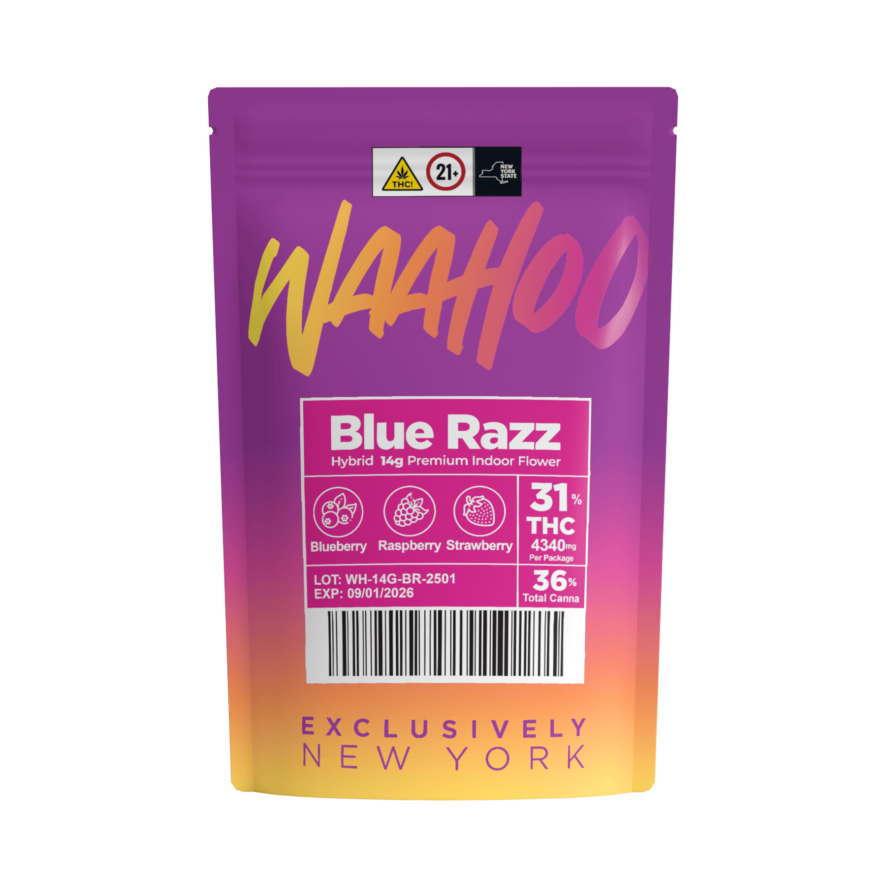 Waahoo | Blue Razz | 14g