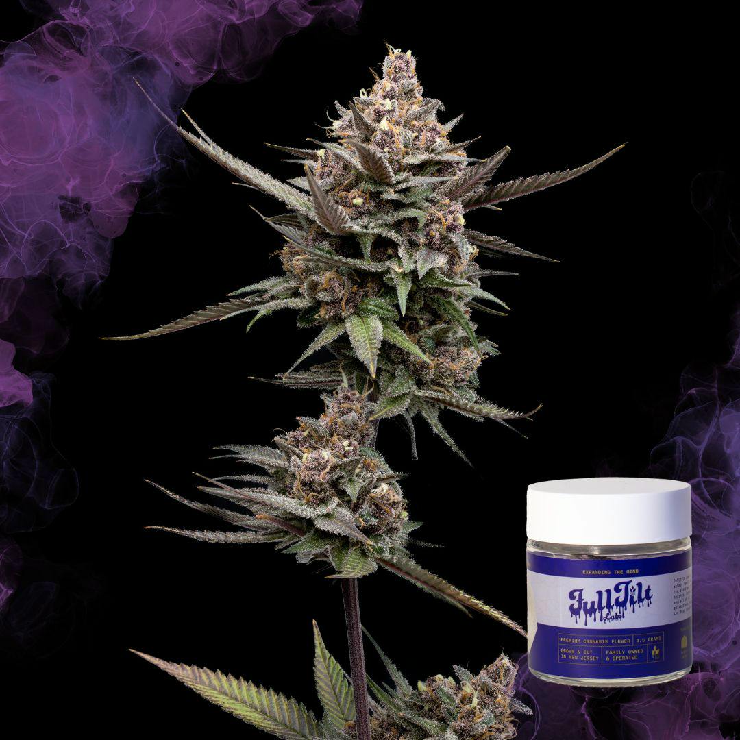 Honey Bunny | 3.5G Flower