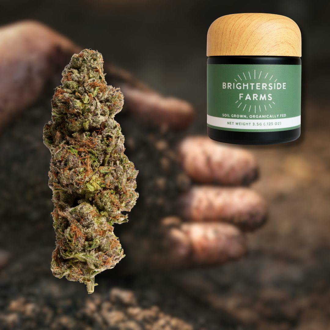 Stank Breath | 1G Pre-Roll | 1pk