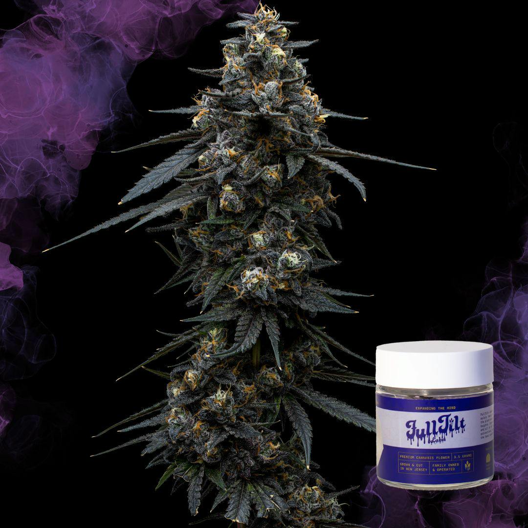 Frost Donkey | 3.5G Flower