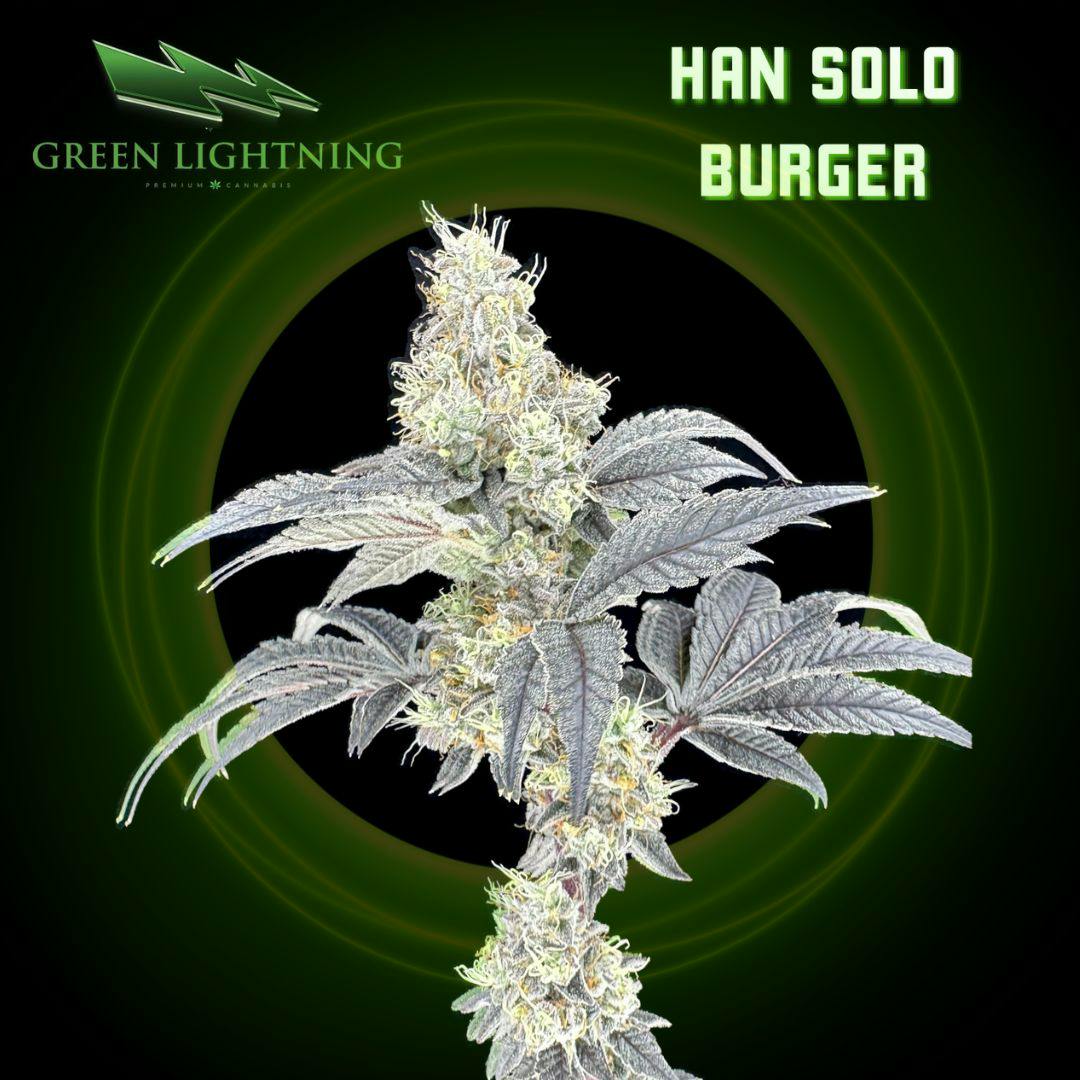 Han Solo Burger | 3.5G Small Buds