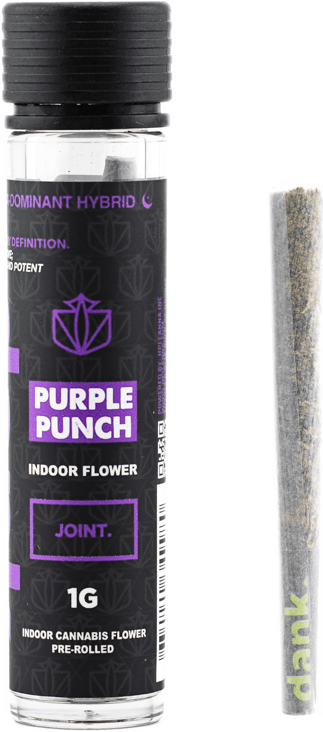 Dank | Preroll | 1g | Purple Punch