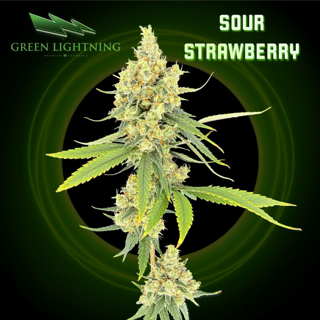 Sour Strawberry | 28G Mixed Buds