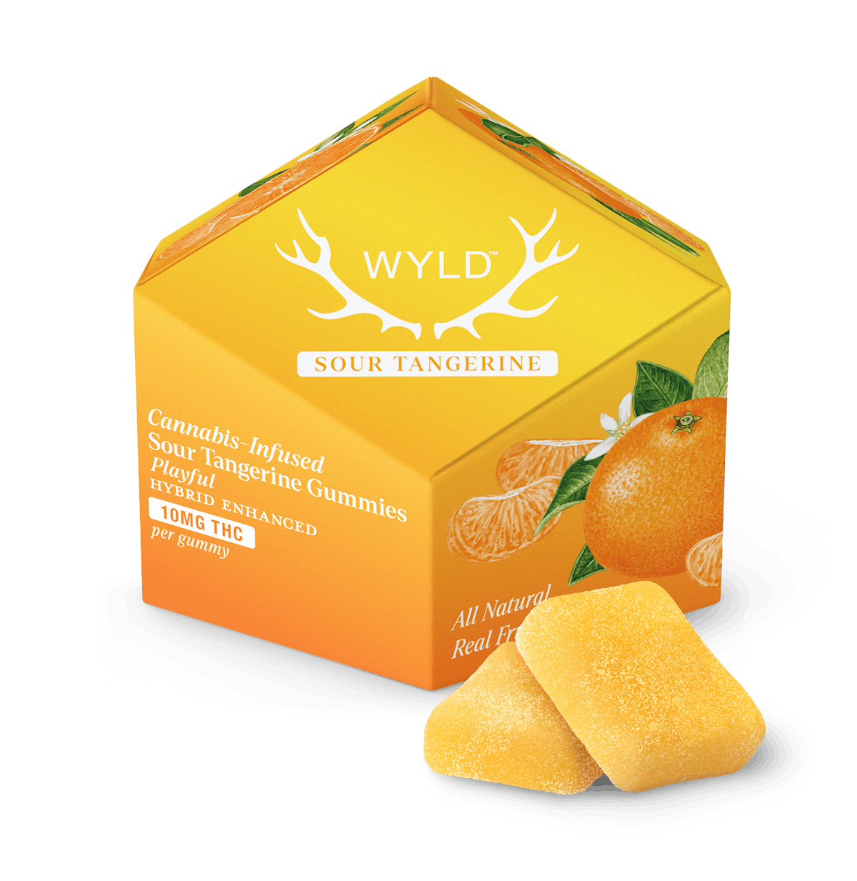 WYLD | Gummy | 10pk | 100mg | Sour Tangerine