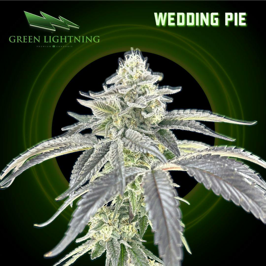 Wedding Pie | 3.5G Small Buds
