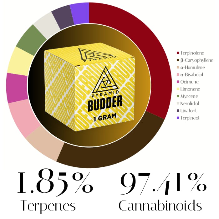 Zlime OG Budder by Pyramid | Concentrate |